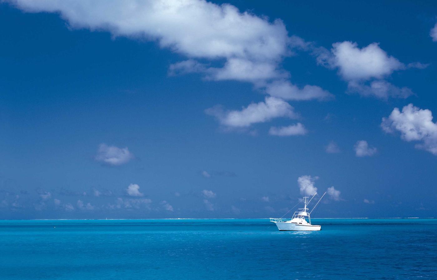 Persona investigando en un portátil