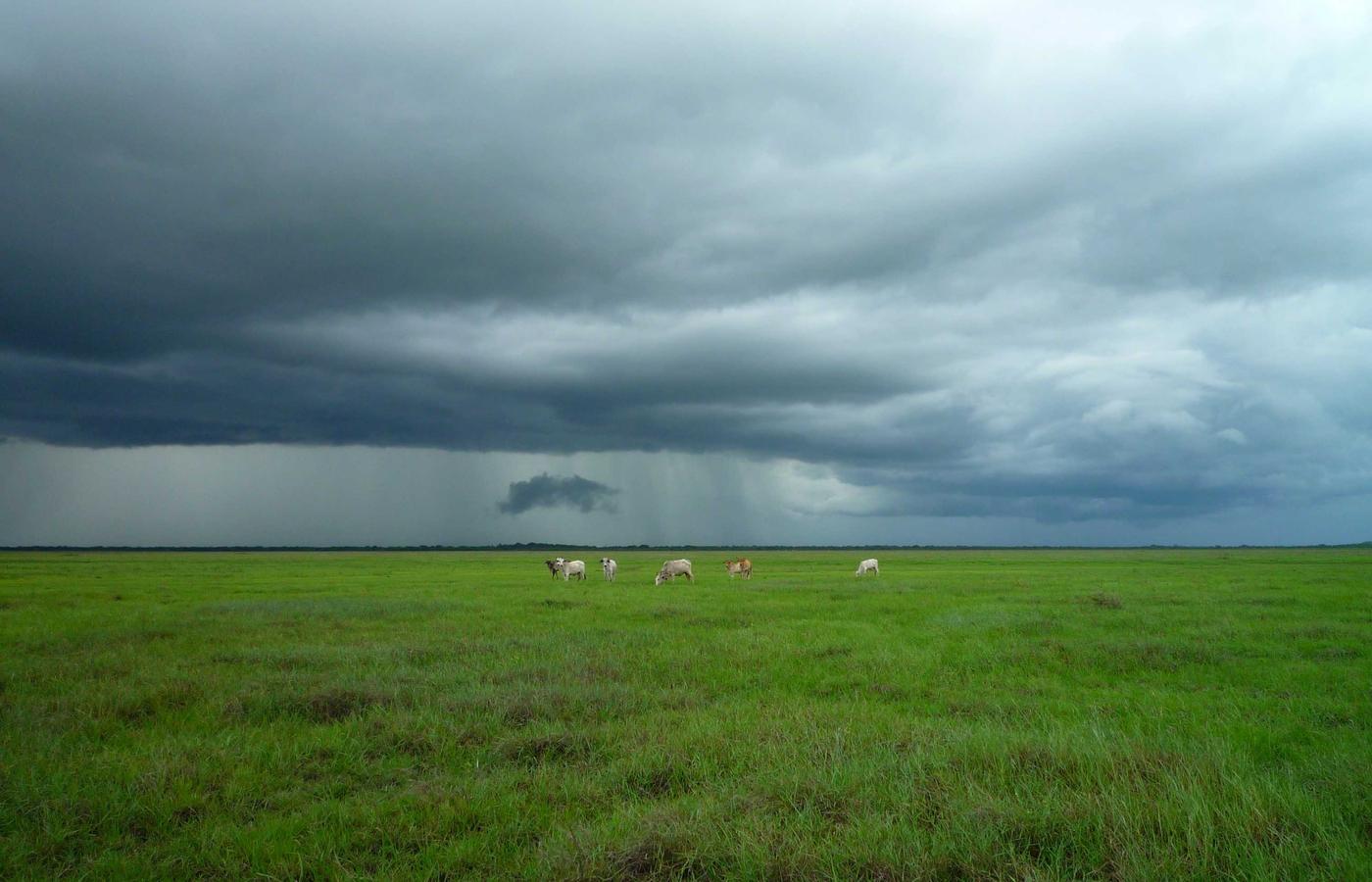 Asesoramiento en Inversiones